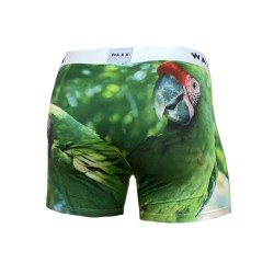 AMAZON moške spodnje hlače