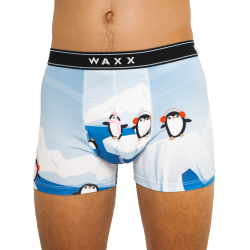 WAXX moške spodnjice ARTIC