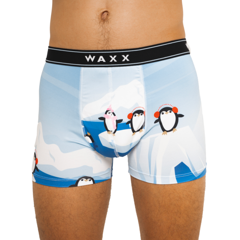 WAXX moške spodnjice ARTIC